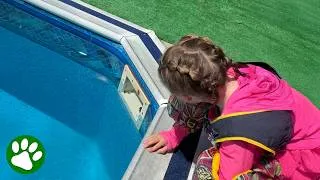 Thumbnail: Tiny Baby Mouse Trapped in Pool — 2-Year-Old Girl Refuses to Leave Without Him