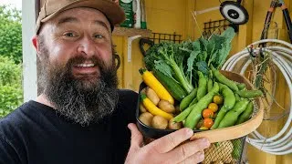 Thumbnail: The Heat Is Relentless... But So Are the Harvests! 🌱🥵 | Allotment Vlog
