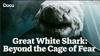 Thumbnail: GREAT WHITE SHARK: BEYOND THE CAGE OF FEAR (Underwater Encounters – Full Film)🦈