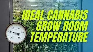 Thumbnail: How warm should a grow room be? (Science Explained)