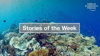 Thumbnail: Saving Coral Reefs & Are We Ready For El Nino? | WEF | Stories of the Week