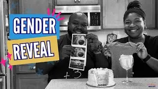 Thumbnail: Our Gender Reveal | the second trimester