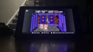 Thumbnail: Ninja Gaiden Gameplay