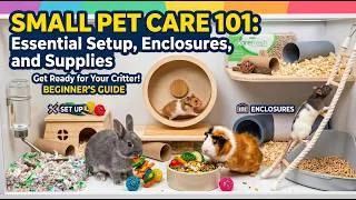 Thumbnail: Small Pet Care 101: Essential Setup, Enclosures, and Supplies