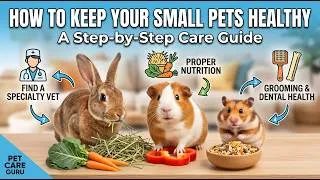 Thumbnail: How to Keep Your Small Pets Healthy: A Step-by-Step Care Guide