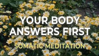 Thumbnail: Sacral Authority Meditation | Trust Your Body’s Yes & No