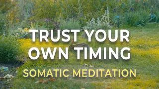 Thumbnail: Healing Journey Meditation | Trust Your Body & Your Own Timing