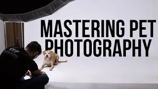 Thumbnail: How to Master Pet Photography