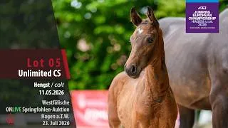 Thumbnail: Springfohlen-Auktion Hagen Lot 05 Unlimited CS Hengst v. Utamaro D'Ecaussines - Comme il faut NRW