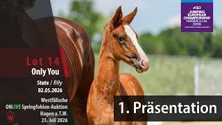 Thumbnail: Fohlen-Auktion Hagen Präsentation Lot 14 Only You Stute v. Ogano Sitte - All Music