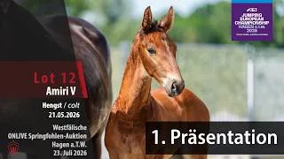 Thumbnail: Fohlen-Auktion Hagen Präsentation Lot Amiri V v. Aganix du Seigneur Z - Quidam de Revel