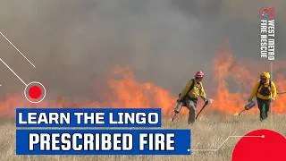 Thumbnail: Learn the Lingo: Prescribed Fire