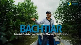 Thumbnail: How an aquaculture farmer is restoring mangroves in Indonesia