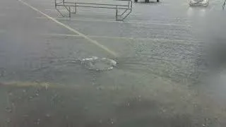 Thumbnail: Crazy rain in East Tennessee 