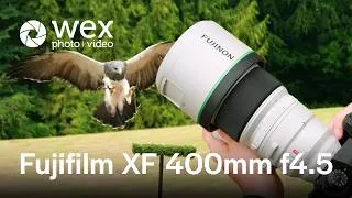 Thumbnail: How good is the Fujifilm XF 400mm F4.5 for wildlife photography?