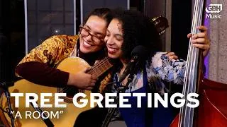 Thumbnail: Tree Greetings - A Room (LIVE)