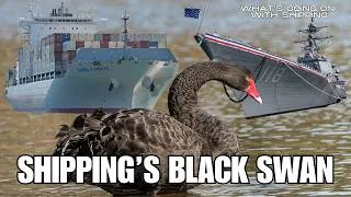 Thumbnail: Understanding Global Shipping Risks: Black Swans, Black Jellyfish & Black Elephants