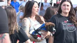 Thumbnail: Shakir Family Foundation hosts annual pet adoption event