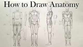 Thumbnail: How to Draw Anatomy for Beginners