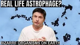 Thumbnail: Project Hail Mary vs. Real Biology: Could Astrophage Exist?