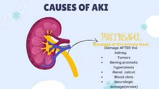 Thumbnail: Acute Kidney Injury (AKI) Made Simple | Causes, Phases, Signs & Symptoms Explained for Nurses