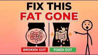 Thumbnail: Fix Your Gut and Watch Belly Fat Disappear Without Trying