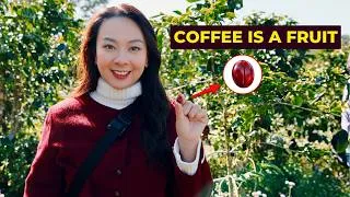 Thumbnail: Vietnamese coffee is NOT what you think