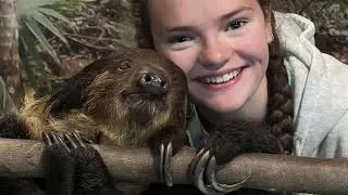 Thumbnail: Weekend Adventure at Wilstem Wildlife Park.
