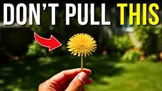 Thumbnail: 6 Backyard Weeds You're Destroying by Mistake | Stop Pulling These Now!