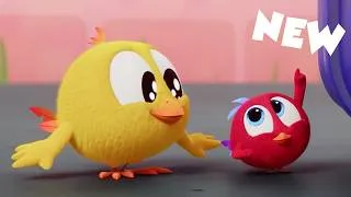 Thumbnail: NEW What’s Up There? | Where's Chicky? | Cartoon Collection in English for Kids | New episodes
