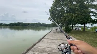 Thumbnail: Fishing at Binbrook Completely Defeated Me (Almost)