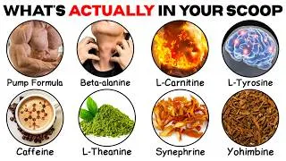 Thumbnail: Every Pre-Workout Ingredient Explained in 11 Minutes