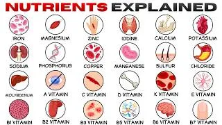Thumbnail: Every Nutrient & It's Effects Explained