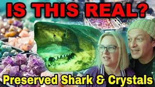 Thumbnail: UNIQUE world of crystals and ROSIE the Abandoned Shark - Australian Road Trip Vlog