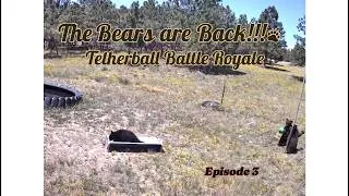 Thumbnail: Bear Cubs Playing Tetherball  - A Battle Royale #blackbear   #bearcub  #trailcam  #wyoming