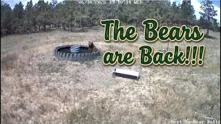 Thumbnail: Bear Hot Tub - Episode 1: Whiskey Alpha Bear Series #blackbear  #WyomingWildlife #BearCam #TrailCam