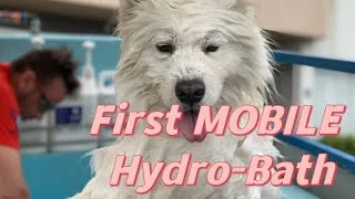 Thumbnail: Whiskey’s first MOBILE Hydro-Bath
