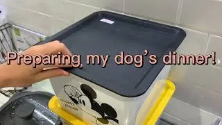 Thumbnail: Preparing my dog’s dinner 😋