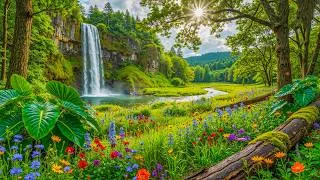 Thumbnail: Relaxing Music for Anxiety Relief 🌿 Beautiful Relaxing Music, Peaceful Soothing Instrumental Music