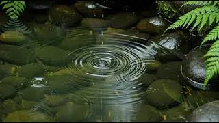 Thumbnail: Calming Stream Water Sounds & Soft Wind | Deep Sleep Music for Insomnia Relief