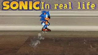 Thumbnail: Sonic in real life