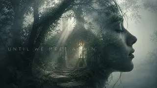 Thumbnail: David Guetta – Until We Meet Again