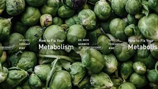Thumbnail: What You’re Getting Wrong About Metabolism (And How to Fix It)