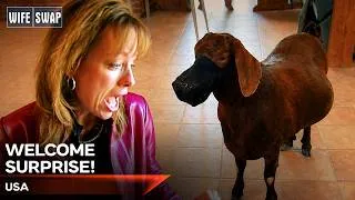 Thumbnail: Clean Freak Mom vs. Living Room Goat! | Wife Swap USA