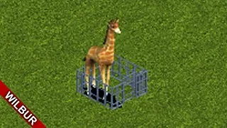 Thumbnail: Releasing Every Animal in Zoo Tycoon