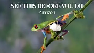 Thumbnail: Amazon: See This Before You Die (2026 Travel Guide)