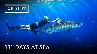 Thumbnail: The Making of Ocean Vet | A Tribute to Neil Bernie | Final Episode