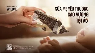 Thumbnail: The Pangolin Milk Bottle Campaign PSA