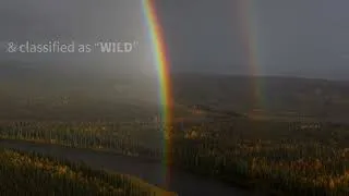 Thumbnail: Nowitna Wild and Scenic River: One of America's Last Untouched Places