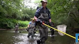 Thumbnail: Fieldwork Highlights: Inside Western Washington's Fish and Wildlife Conservation